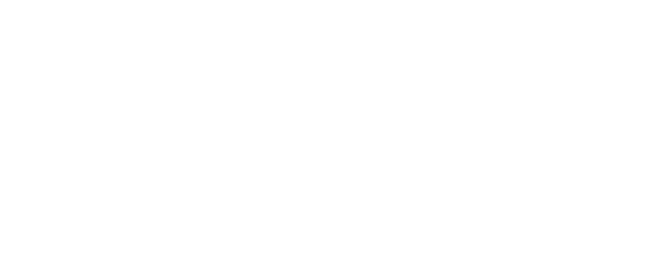 B_FIT